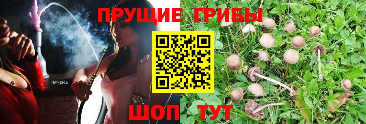 Галлюциногенные грибы Cubensis  Вход с VPN  Наро-Фоминск 