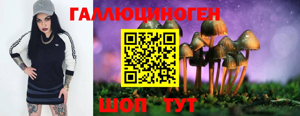 Псилоцибиновые грибы MAGIC MUSHROOMS Наро-Фоминск
